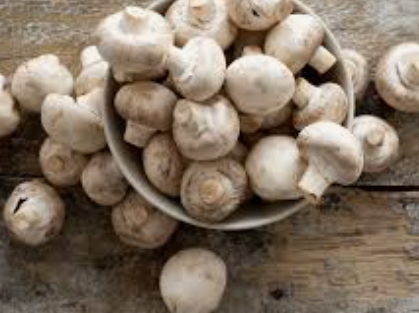 MUSHROOM BUTTON PARIS LARGE - KG CHAMPIGNONS DE PARIS GROS GEANT - KG