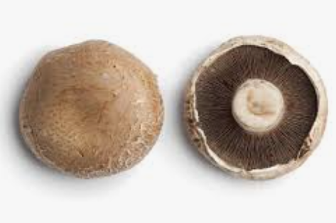 MUSHROOM PORTOBELLO - FLAT CHAMPIGNON PORTOBELLO - PLATEAU