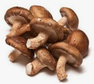 MUSHROOM SHITAKE - KG  CHAMPIGNON SHITAKE - KG