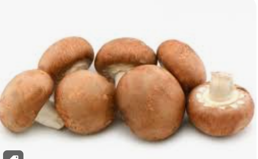 MUSHROOM SWISS BROWN - KG CHAMPIGNON BRUN - KG