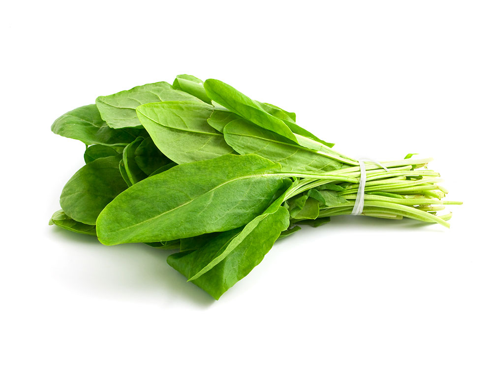 SORREL- OSEILLE 