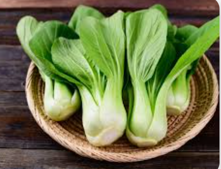 PAK CHOI, BABY -1 KG PAK CHOY, NORMAL -1 KG