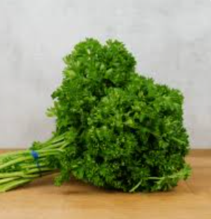 PARSLEY CURLY - BUNCH PERSIL FRISE - BOTTE