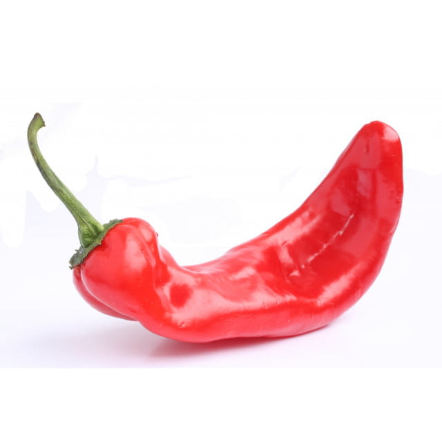 PEPPER "CORNE DE BOEUF" RED POIVRON "CORNE DE BOEUF" ROUGE