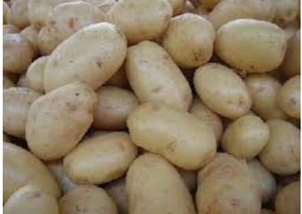 POTATO SPUNTA - KG PATATE SPUNTA - KG