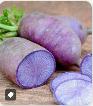 RADISH BLUE - KG RADIS BLEU - KG