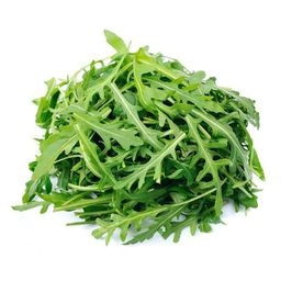 ROCKET SALAD - KG RIQUETTE SACHET - KG 