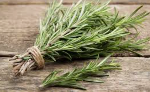 ROSEMARY - BUNCH ROMARIN - BOTTE