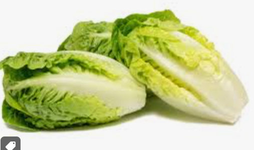 BABY GEM SALAD - SALADE SUCRINE 