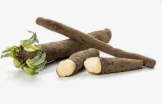 SALSIFY - KG SALSIFIS - KG