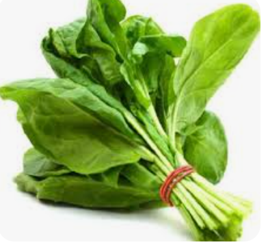 SPINACH - KG EPINARD - KG