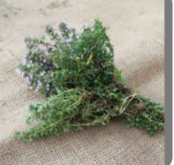 THYME LEMON - BUNCH THYM CITRON - BOTTE