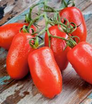 TOMATO SAN MARZANO - KG TOMATE SAN MARZANO - KG