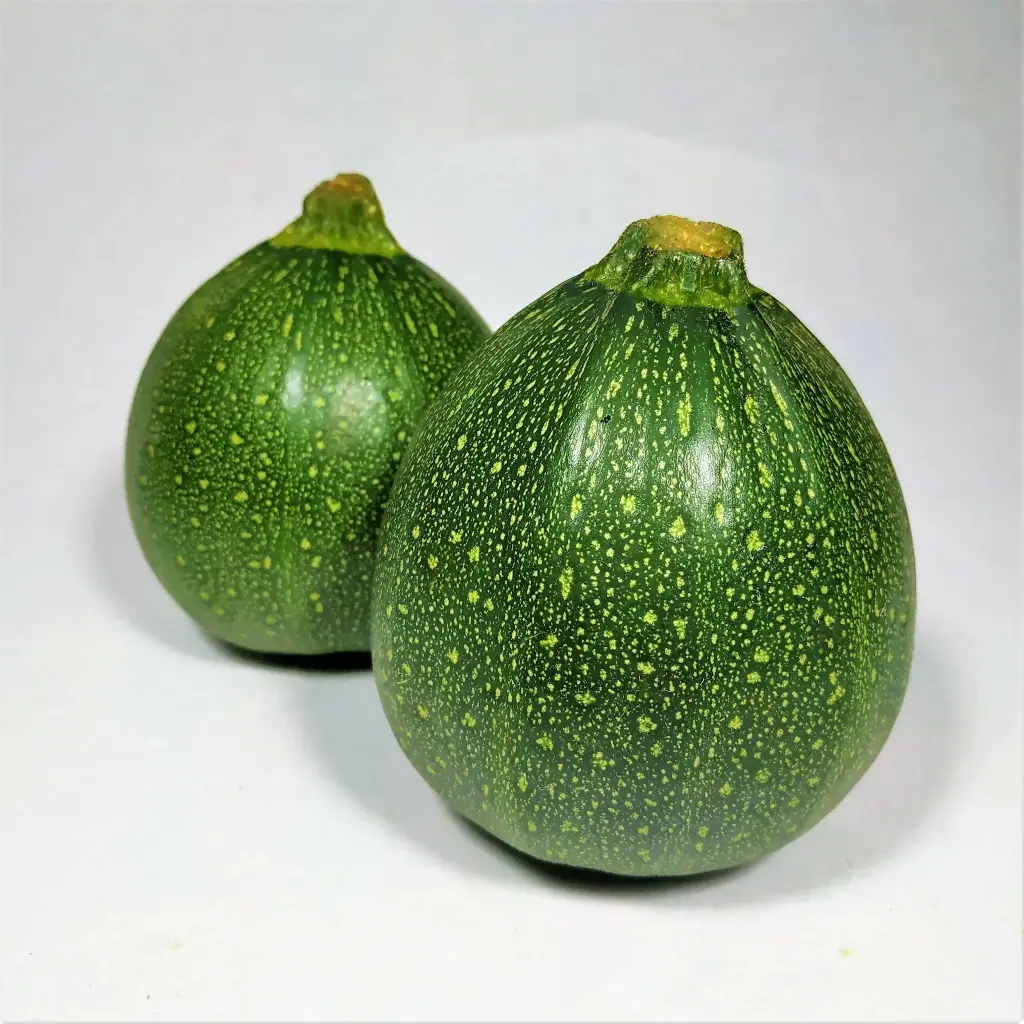 ZUCCHINI ROUND - KG COURGETTE ROND - KG