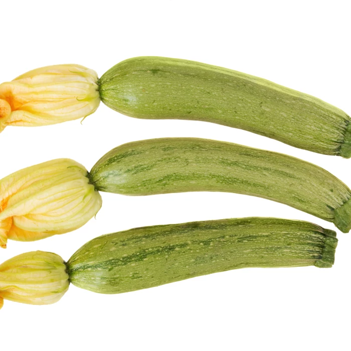 ZUCCHINI WITH FLOWER - PUNNET COURGETTE AVEC FLEUR - BQT