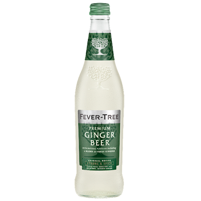 FEVER TREE GINGER BEER 15CL X 8