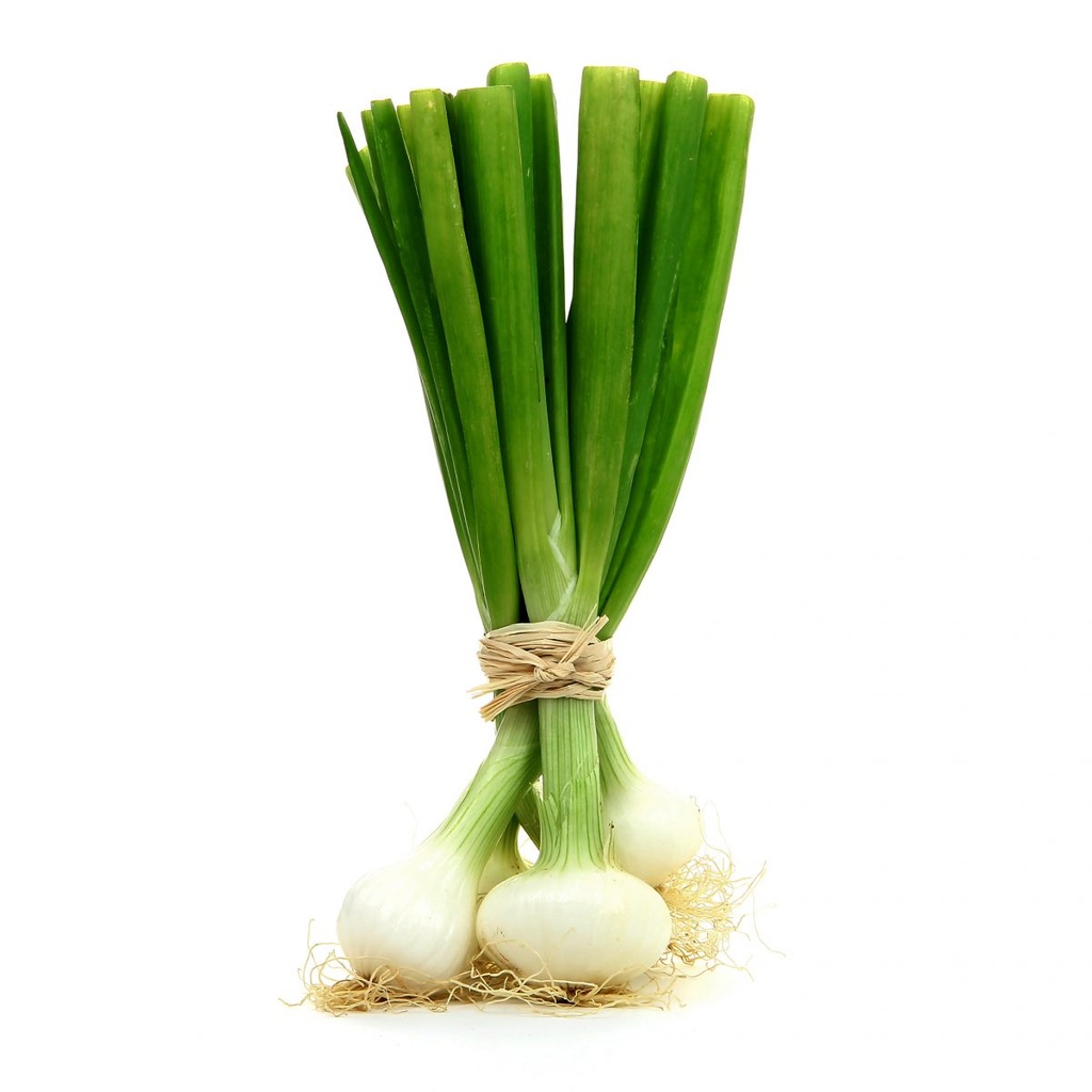 FRENCH SPRING ONIONS – BUNCH OIGNON BOTTE FRANCE