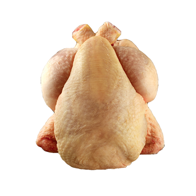 BABY CHICKEN COQUELET - POUSSINET COQ