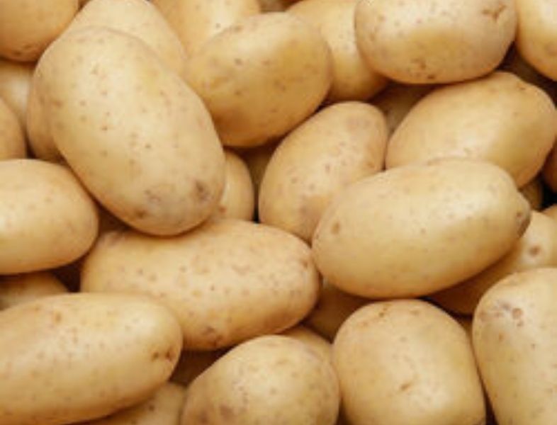 COLOMBA POTATO-KG POMME DE TERRE COLOMBA-KG