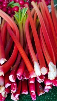 RHUBARBE - KG RHUBARBE - KG 