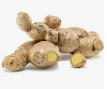 GINGER ROOT - GINGEMBRE 