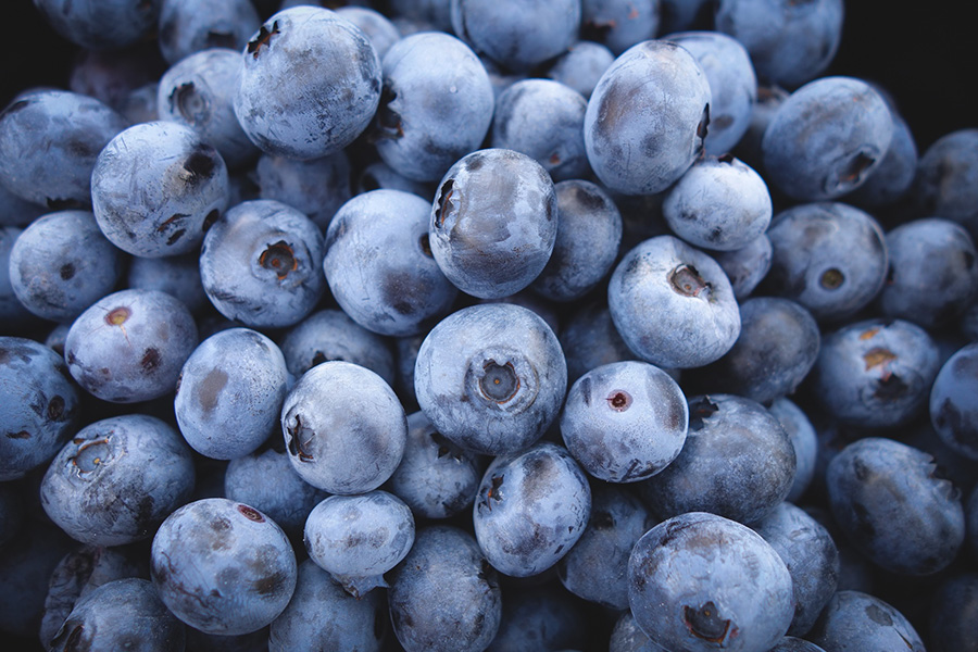 BLUEBERRIES FRANCE - MYRTILLES FRANCE 