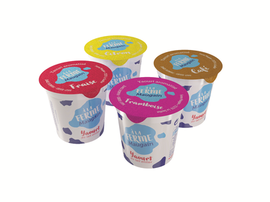 YOGHURT X4 MIX FLAVOUR - YAOURTS VARIEES X4