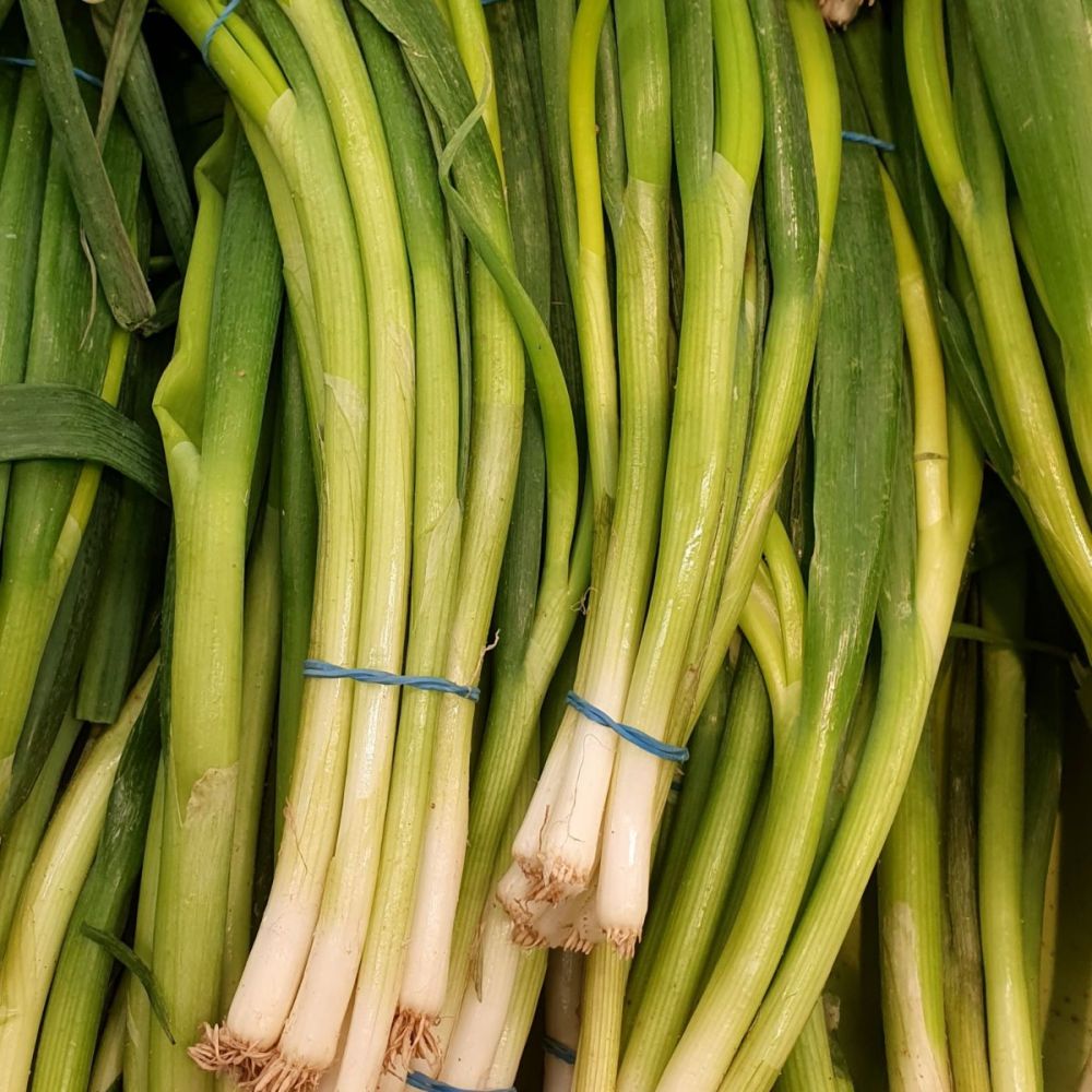 MINI LEEKS BUNCH - MINI POIREAUX BOTTE