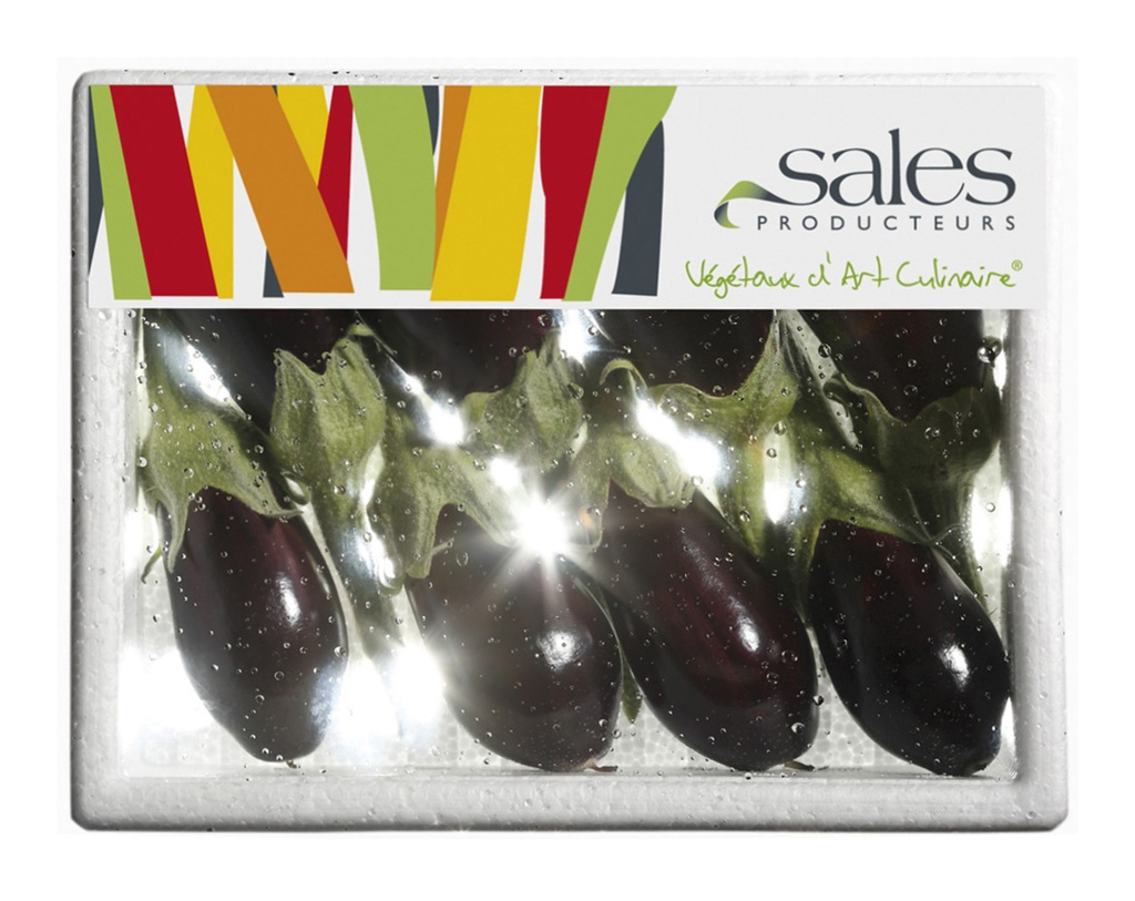 BABY EGGPLANT - PUNNET MINI AUBERGINES - BQT