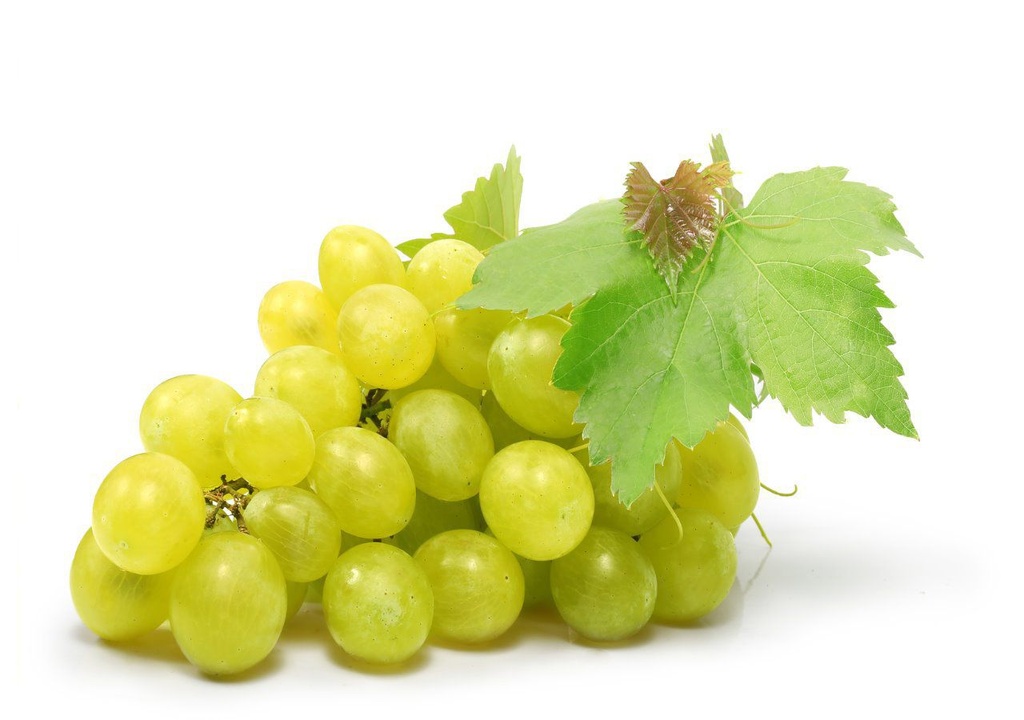 GRAPES GREEN/WHITE SEEDLESS - KG RAISIN VERTS/BLANC SANS PEPINS - KG