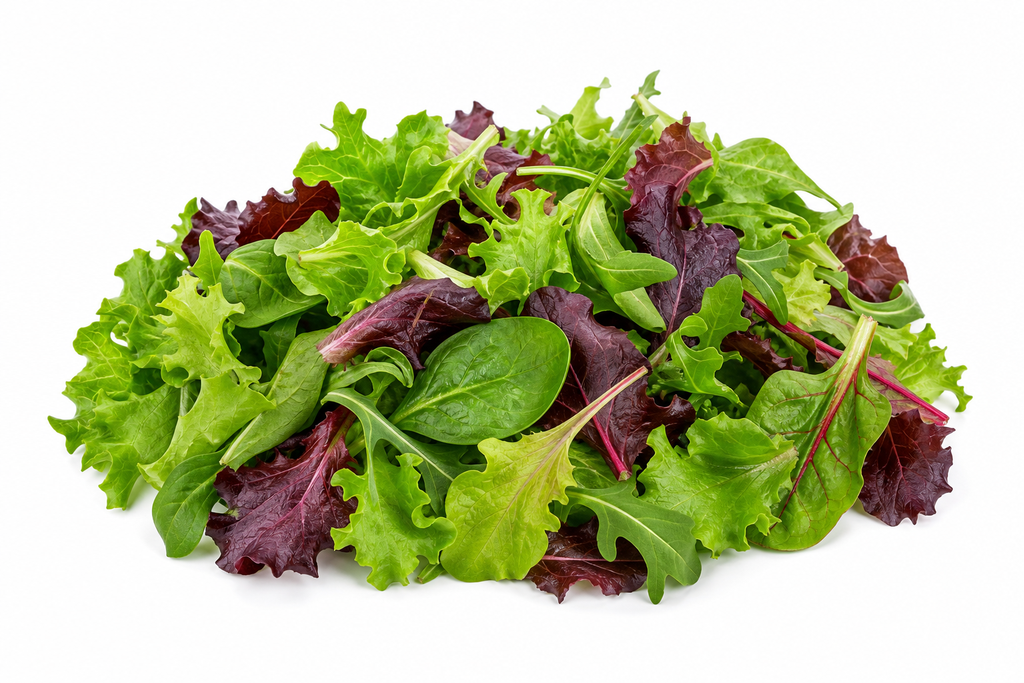 MESCLUN THERMO - MESCLUN THERMO 