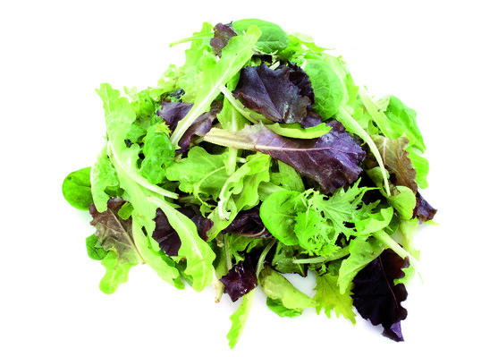 MESCLUN THERMO - MESCLUN THERMO 