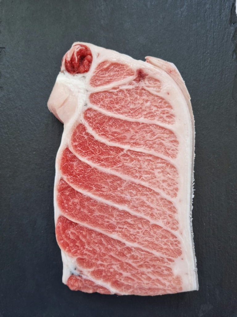 RED TUNA BELLY  300/400G FROZEN THON ROUGE TONNO CHUTORO SAKU 300/400G  