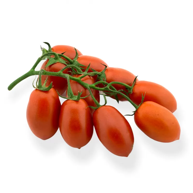 TOMATO PICCADILLY - KG TOMATE PICCADILLY - KG 