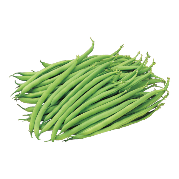 EXTRA FINE GREEN BEANS FRANCE - KG HARICOT VERT EXTRA FIN FRANCE - KG