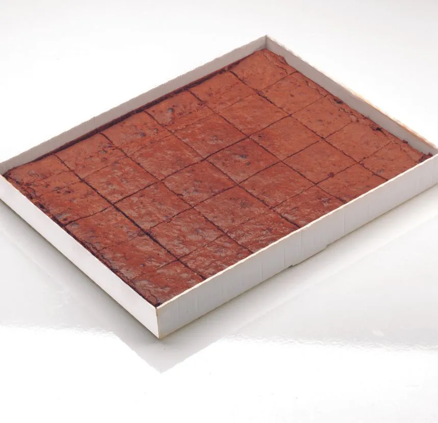 CHOCOLATE BROWNIE, 83G - 30 PCS BROWNIE AU CHOCOLAT, 83G - 30 PCS 