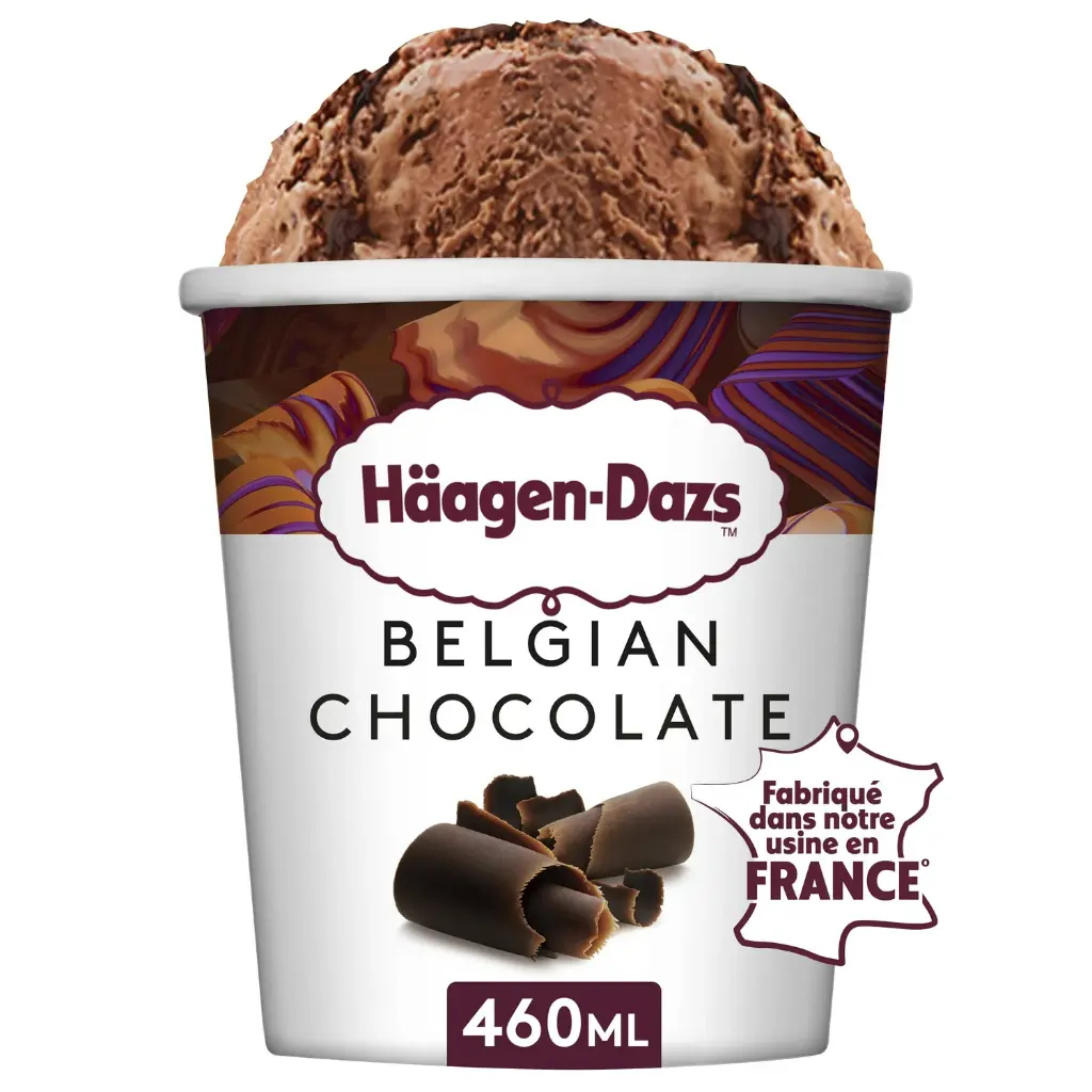 HAAGEN DAZS DARK CHOCOLATE - 500ML HAAGEN DAZS DARK CHOCOLAT - 500ML