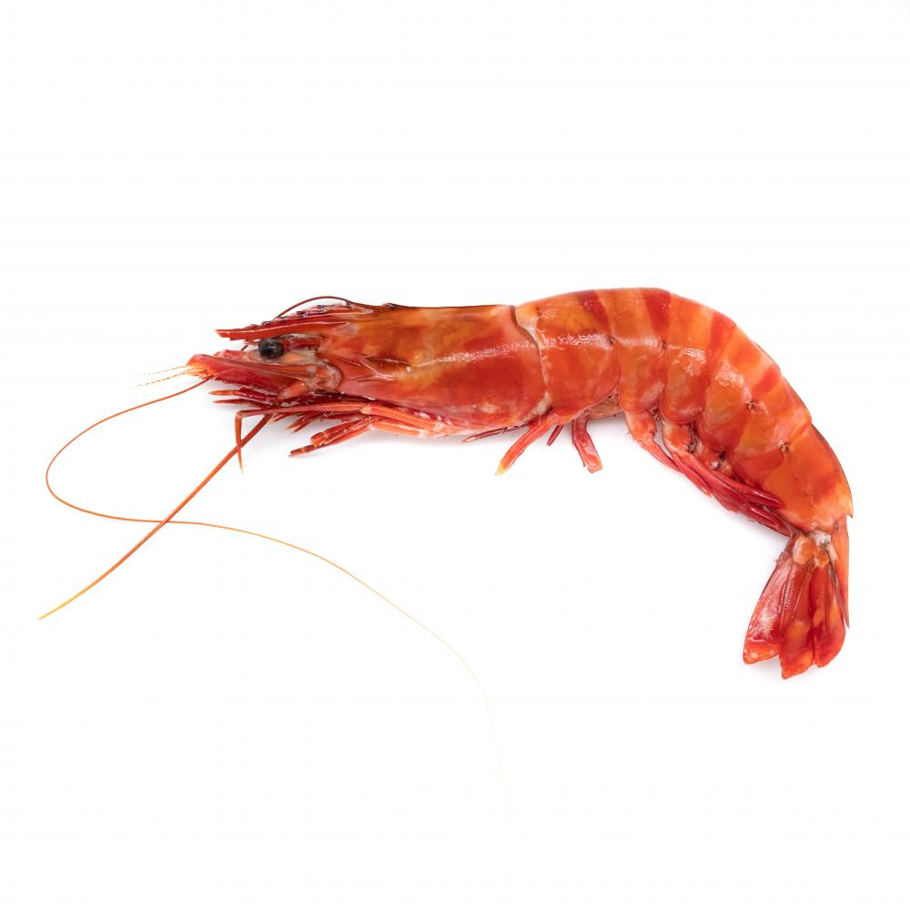 WILD SHRIMPS RAW U.5 NIGERIA -1KG CREVETTE CRU SAUV NIGERIA U.5 -1KG