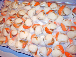 SCALLOP CORAL ATLANTIC FRESH THEN FLAS FROZEN TOP QUALITY-1 KG NOIX ST JACQUES ATLANTIQUE - 1KG