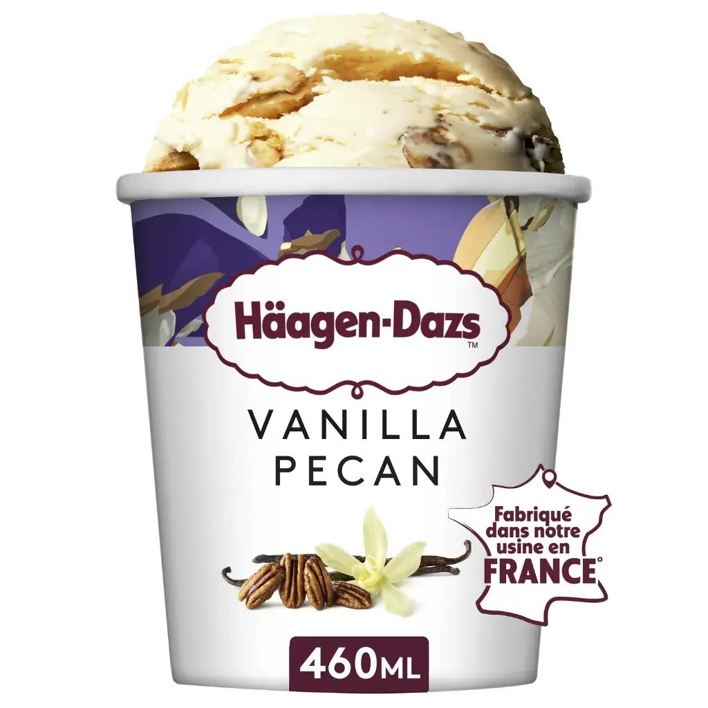 HAAGEN DAZS VANILLA PECAN - 400G HAAGEN DAZS VANILLE PECAN - 400G 