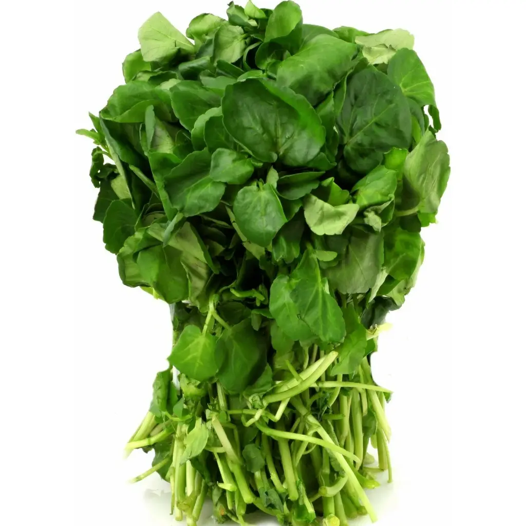 LETTUCE WATERCRESS - BUNCH SALADE CRESSON - BOTTE