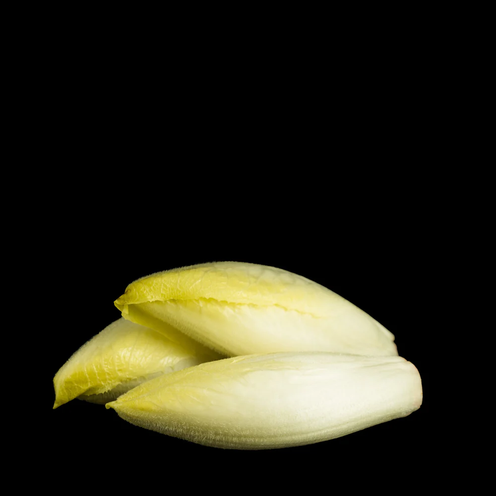 MINI CHICORY/ENDIVES - PUNNET MINI ENDIVES - BQT
