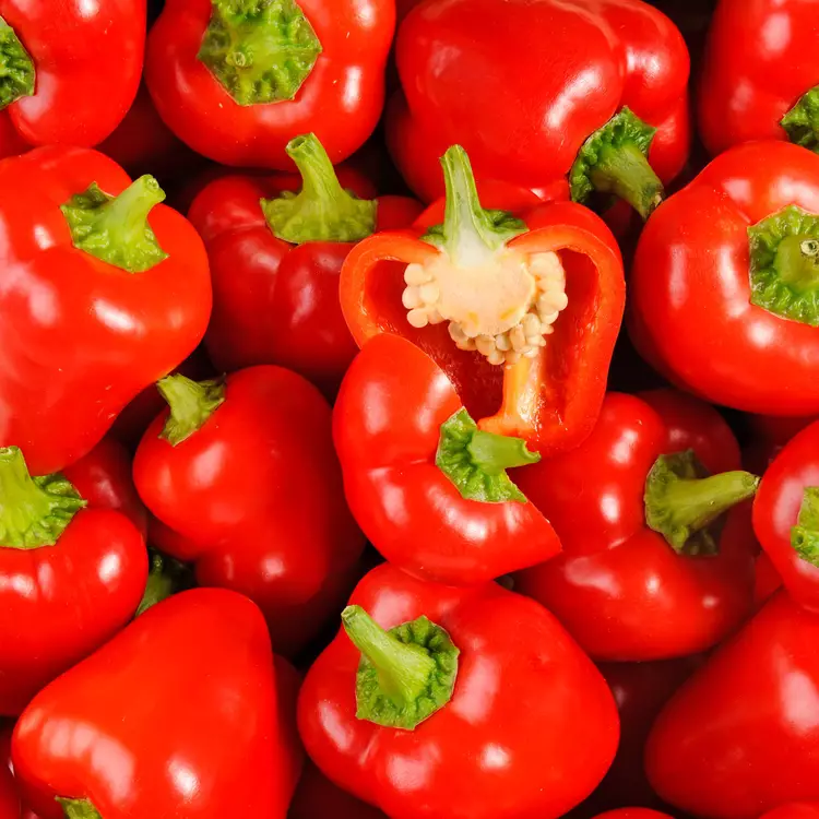 MINI PEPPER SWEET RED -KG MINI POIVRON ROUGE -KG