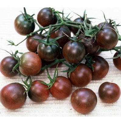 TOMATO CHERRY BLACK VINE - KG TOMATE CERISE GRAPPE NOIRE - KG