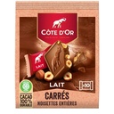 MILK CHOCOLATE, NUTS, COTE D'OR 200GR CHOCOLAT AU LAIT,NOIS,COTE D'OR 200