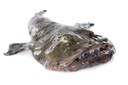 MONKFISH 3/5KG TRAWL – LOTTE 3/5KG CHALUT