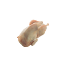 WHOLE QUAIL -CAILLE ENTIÈRE