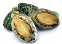 DRIED ABALONE 9CM XL -1 KG ORMEAUX EUROPEEN 9CM XL