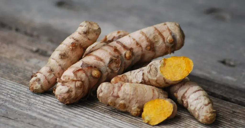 TUMERIC ROOT  - CURCUMA RACINE 