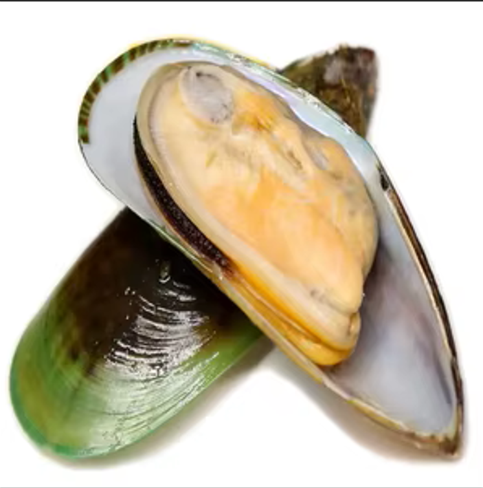 GREENSHELL H/SHELL MUSSELS-450GR MOULES VERTES N-Z - 450GR